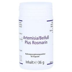 Артемизинин 150 мг капс. 60шт в Белгороде и области фото